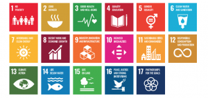 SDGsロゴの種類